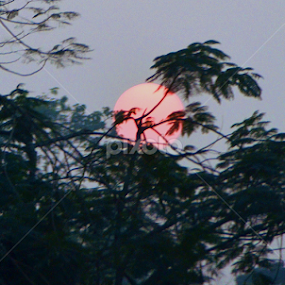 SUNSET by Meghali Phukan - Landscapes Sunsets & Sunrises