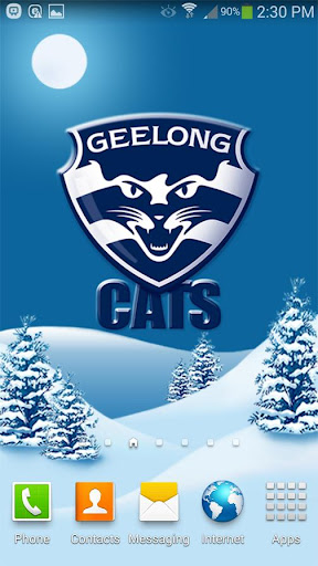 Geelong Snow Globe