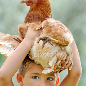 by Aleksandar Kordic - Babies & Children Children Candids