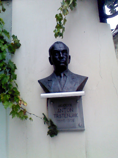 Akademik Anton Trstenjak