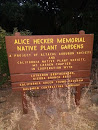 Native Plant Gardens