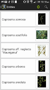 How to download NZ Coprosma Key 1.0.1 mod apk for pc