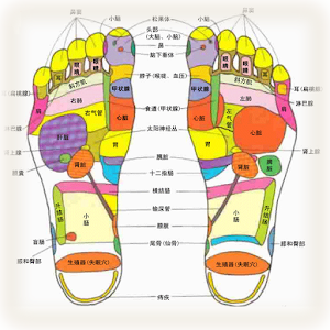 圖解腳部按摩 logo