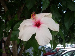 DSCN0486