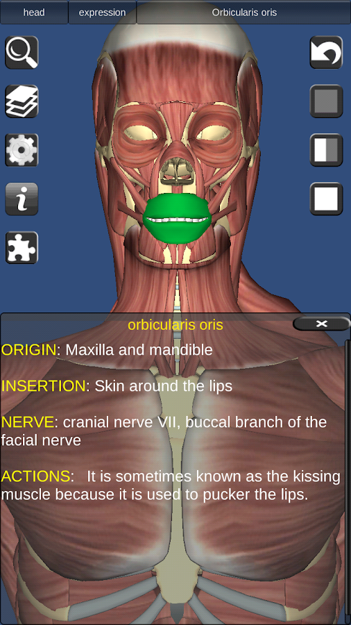 3D Bones and Organs (Anatomy) - Android Apps on Google Play