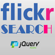 Flickr Search  Icon