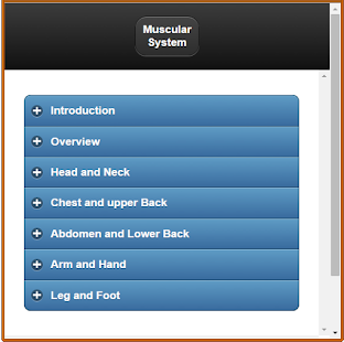Muscular System(Anatomy)(圖1)-速報App