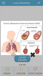 USMLE Step 1 Microbiology/Path poster 2