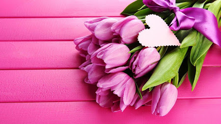 Pink Tulips Live Wallpaper 3.0 Apk, Free Personalization Application – APK4Now