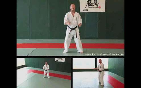 Kyokushin - Stances & Moves(圖3)-速報App