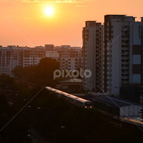 Morning Over Woodlands by Jianzhi Yu - Landscapes Sunsets & Sunrises