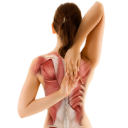 Upper Back Pain Neck Shoulders 3.0 Icon
