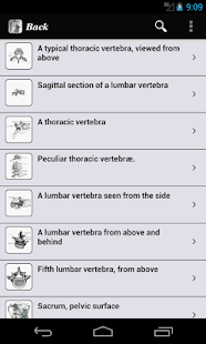 免費下載醫療APP|Gray's Anatomy 2012 Lite app開箱文|APP開箱王