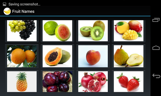 【免費教育App】Fruit Names (4 line display)-APP點子