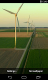 Windmills Video Live Wallpaper
