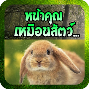 หน้าคุณเหมือนสัตว์....apk 1.1