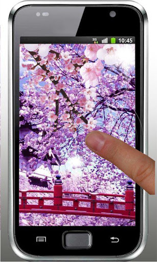 免費下載個人化APP|Sakura Garden HD livewallpaper app開箱文|APP開箱王