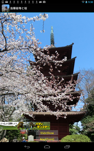 千葉県 法華経寺と桜 JP040