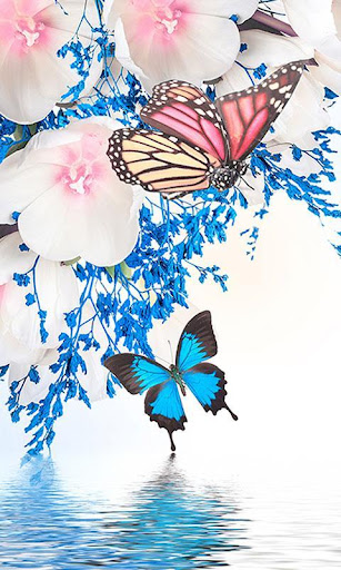 Butterfly Wallpapers