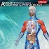 Anatomy & Physiology-Animated 1.8