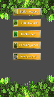 How to download Happy Brave Lion 1.0 mod apk for pc