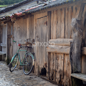 The bicycle.   by José Borges - City,  Street & Park Street Scenes
