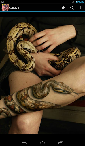 【免費生活App】Snake Tattoo Designs-APP點子