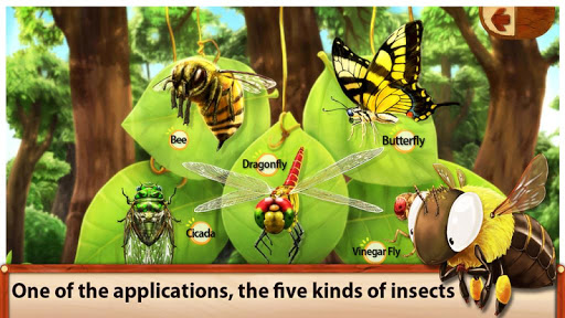 Sky Insect Buddies FREE
