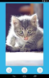 Animal Wallpapers poster 9