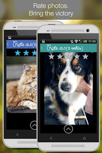 Cat Vs Dog -pet photos(圖4)-速報App