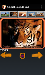 Free Animal Sounds Beta poster 1