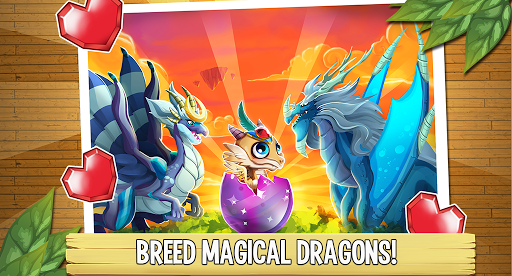  Dragon City