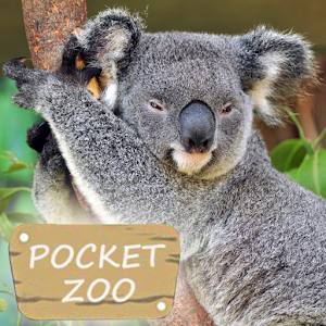 Pocket Zoo.apk 1.9.0