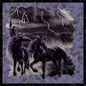 Stallion Storm Live Wallpaper