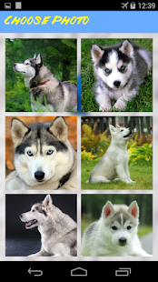 How to install Husky Jigsaw Puzzle 1.0 unlimited apk for laptop