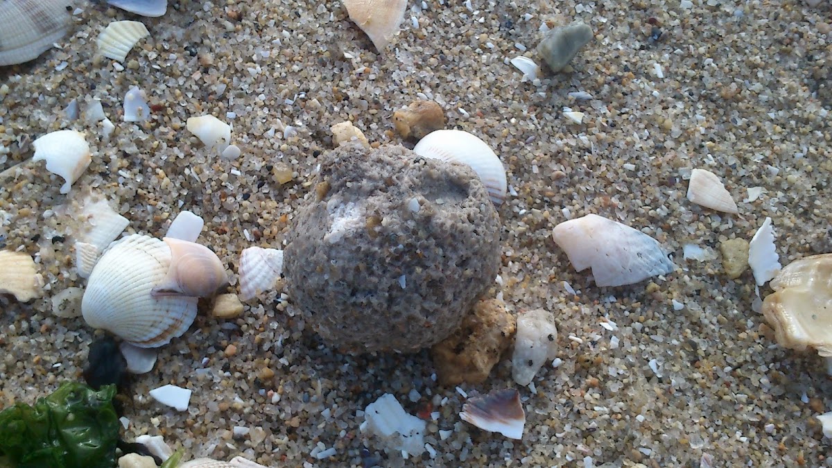 strange sand ball