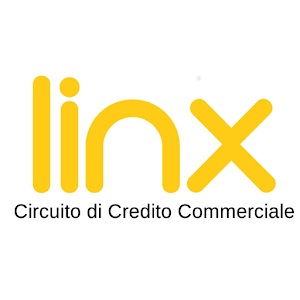 Linx  Icon