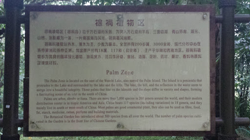 Palm Zone