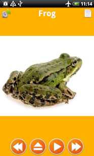 Baby Learn Animals Flash Cards(圖3)-速報App