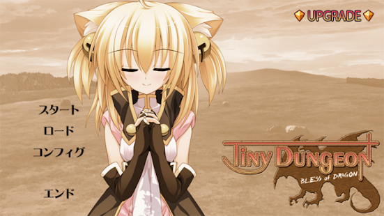 Download Tiny Dungeon ～BLESS of DRAGON～ APK