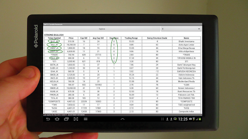 AMTACharts Explorer IDX Market