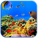 Fish swimming logo