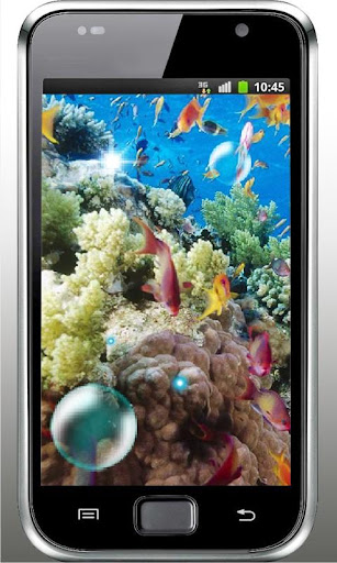 Fishes Coral Reef Screen LWP