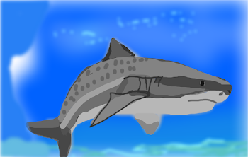 shark