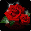 Love Flower Wallpaper