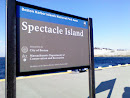 Spectacle Island Dock