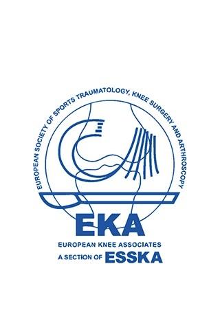 Eka2013