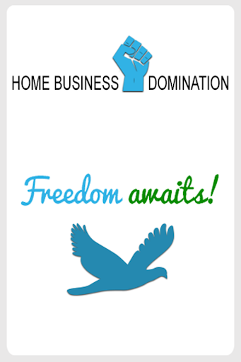 DS Domination Home Business