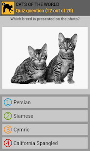 Cats of the world(圖7)-速報App