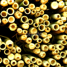 by Syarief Wiranegara - Abstract Macro